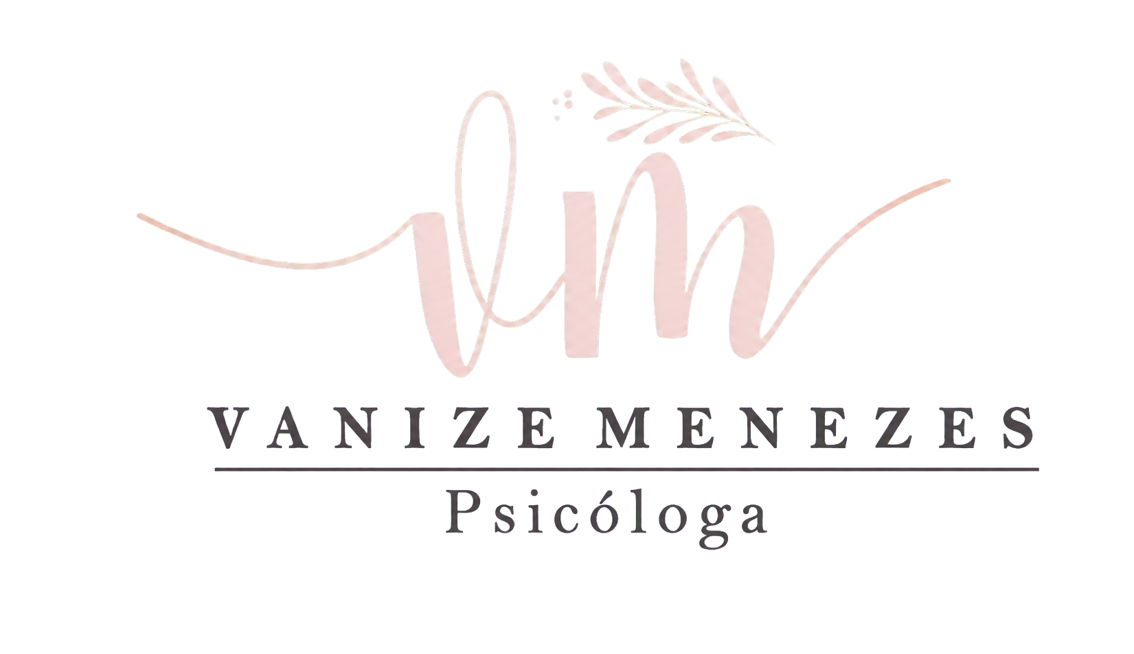 Vanize Menezes Psicóloga
